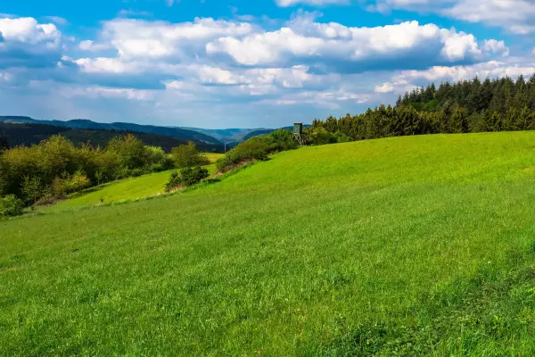 Nová výzva na podporu projektů z Fondu Vysočiny právě otevřena